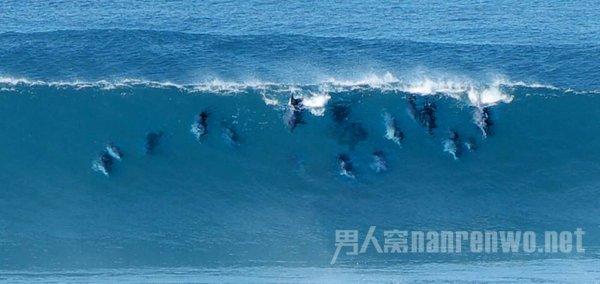 我是孙二谋